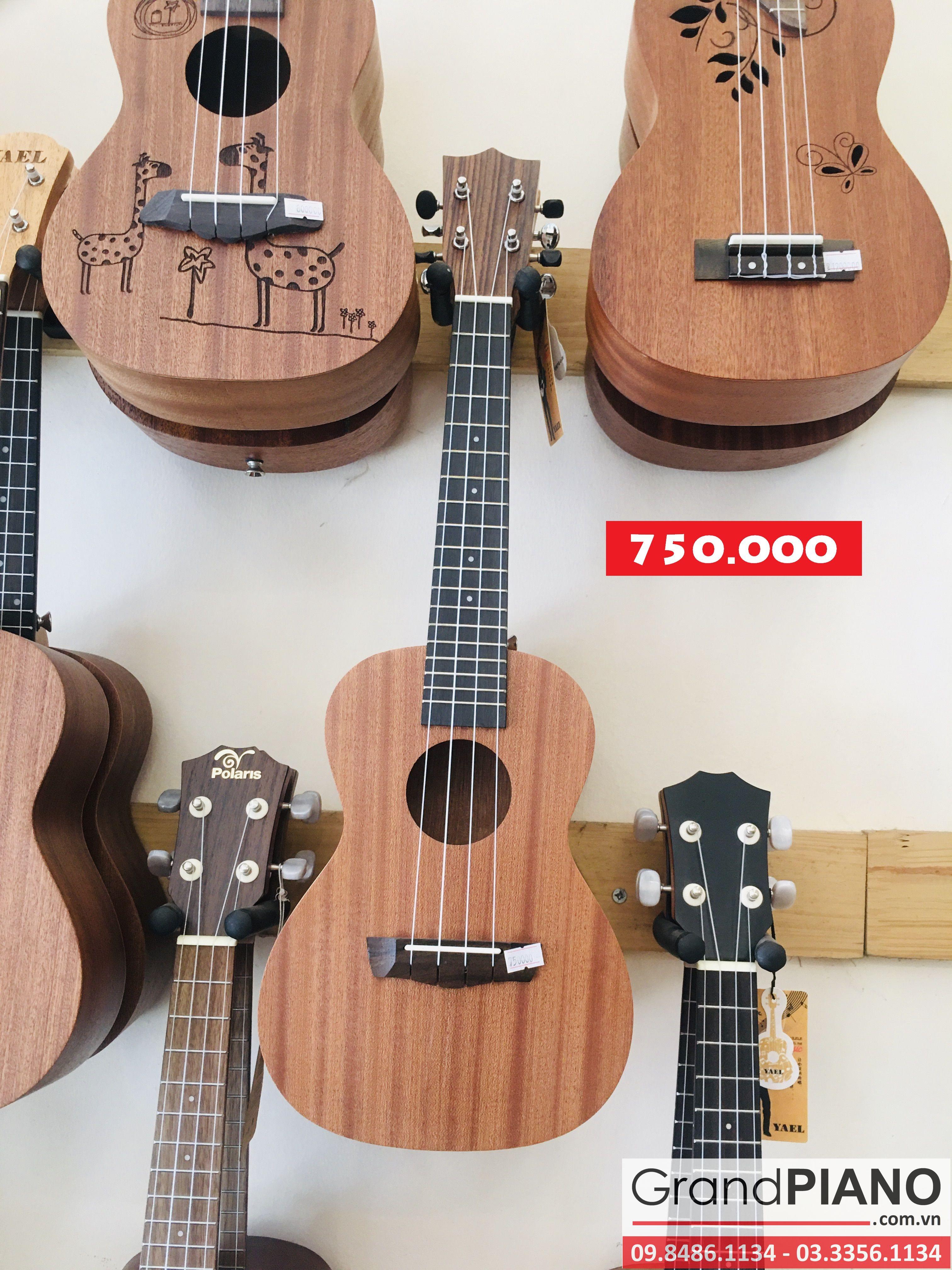 Đàn Ukulele size 23" - 13 - 750.000 